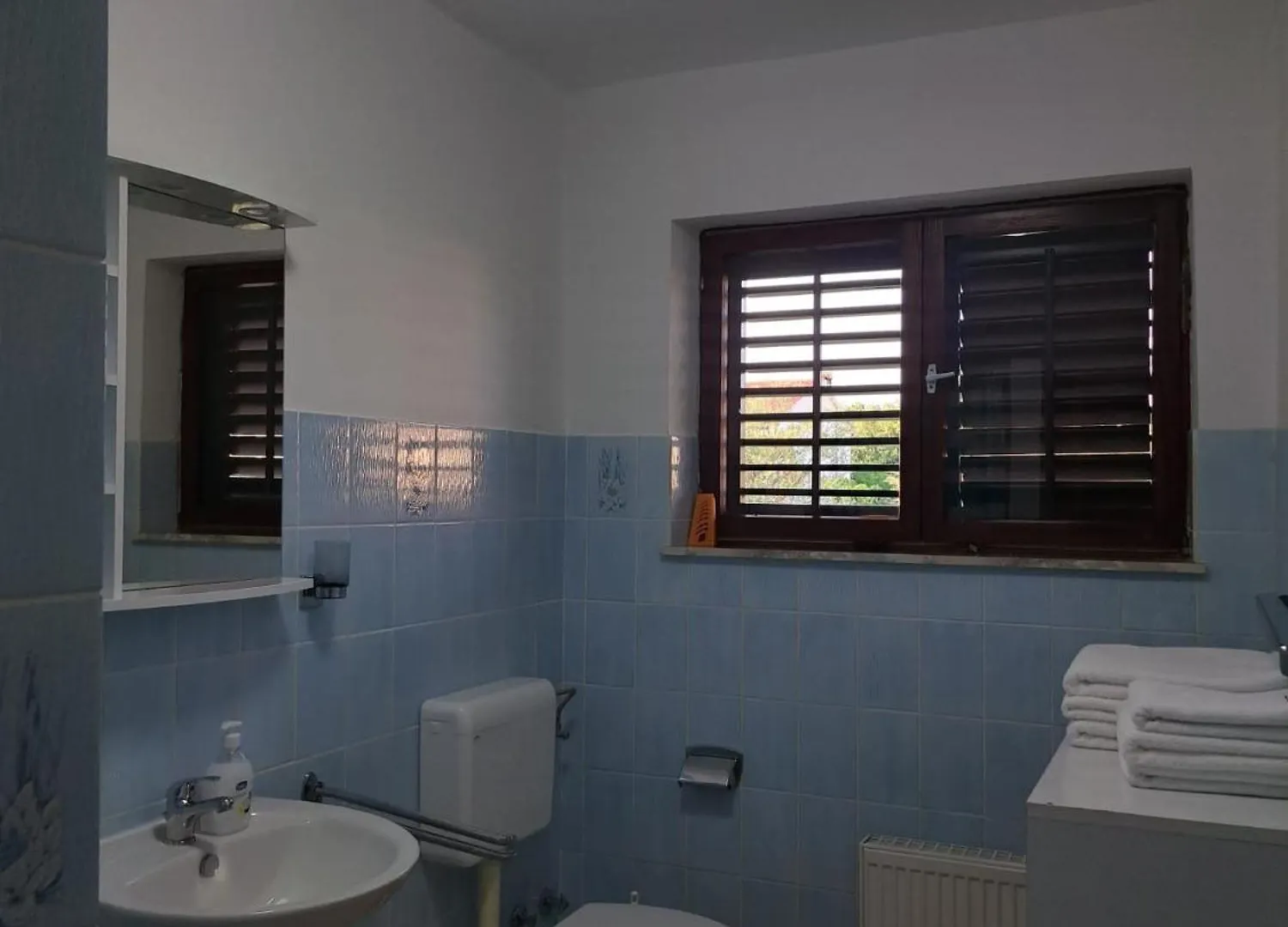 Apartment Dragica Porec